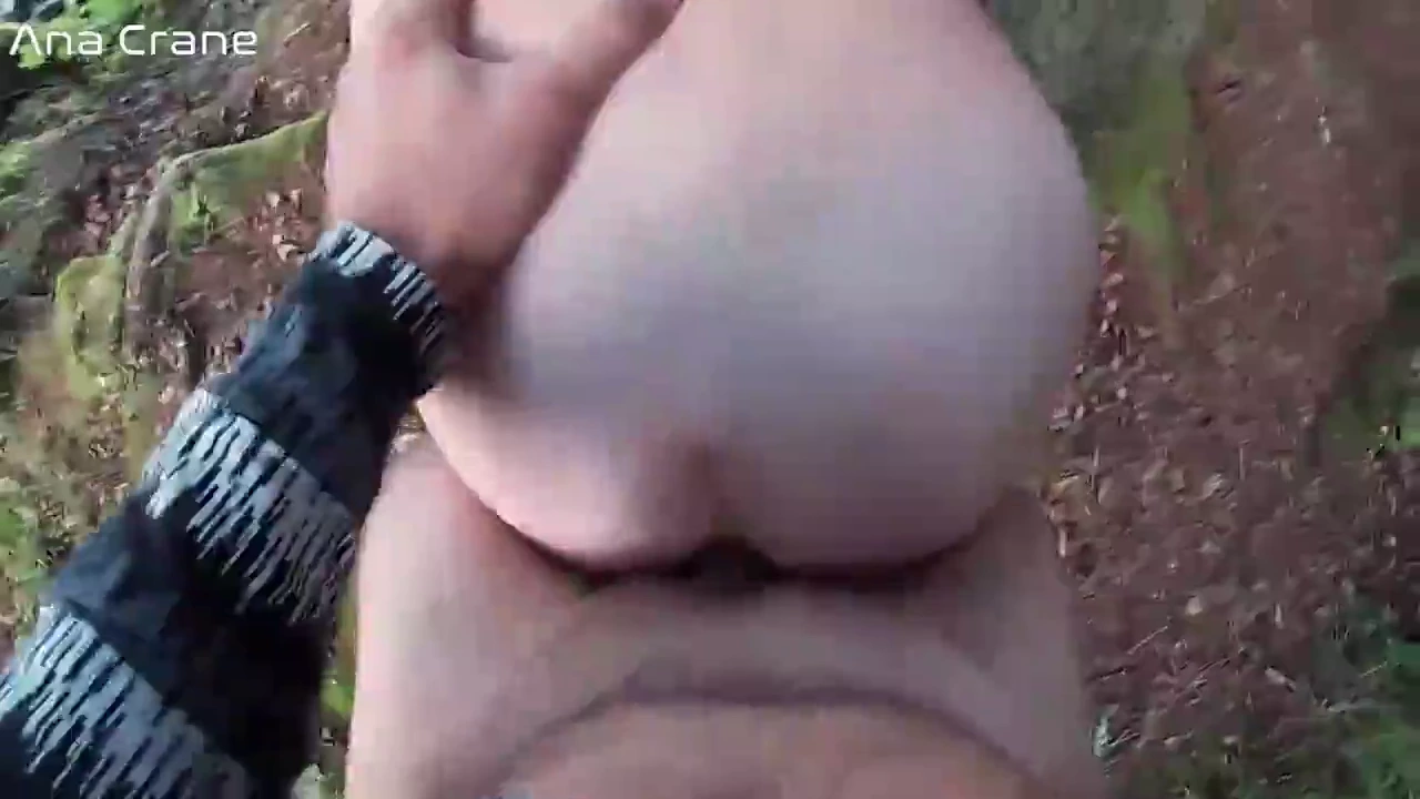 Horny tourist receives oral and anal services in the woods porn video