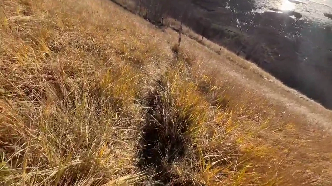 Public sex adventure at Alaska's Sand Bluffs with a beautiful hottie porn video